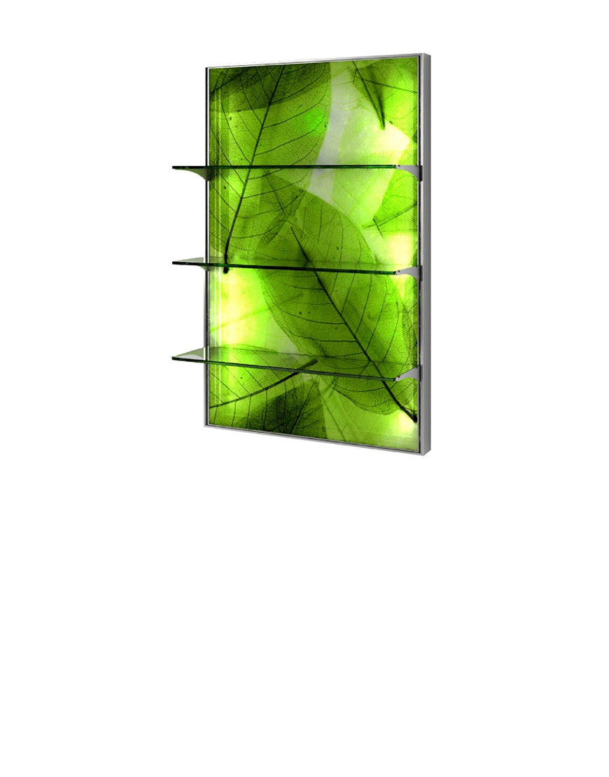 EXPO LIGHT